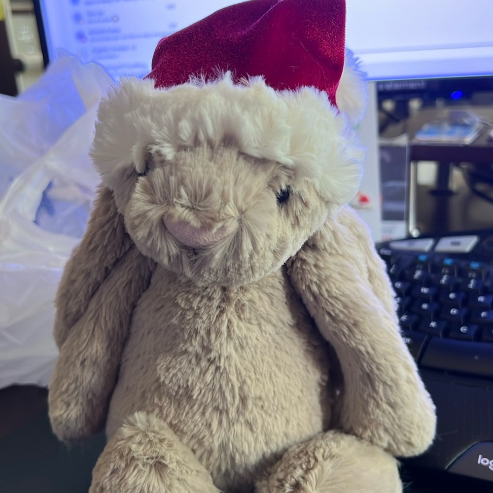 2024 bunny holiday jelly at